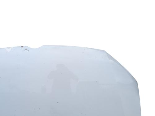 Hood VW POLO V (6R1, 6C1) 1.0 | BP29513716C1 