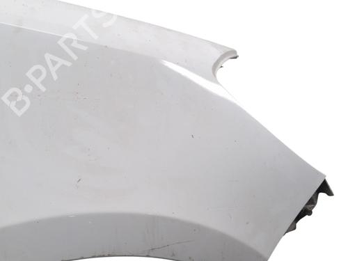 Right front fenders RENAULT CLIO III (BR0/1, CR0/1) 1.5 dCi (C/BR0G, C/BR1G) | BP29175550C42 