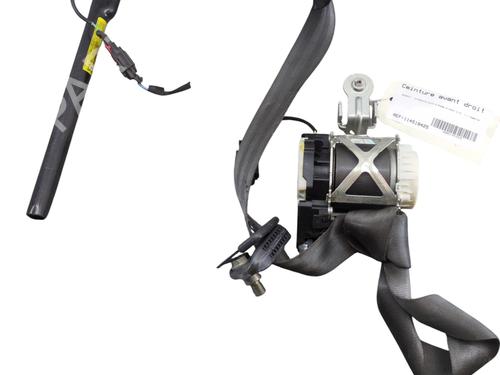 Front right belt tensioner RENAULT CLIO III (BR0/1, CR0/1) 1.2 16V (BR02, BR0J, BR11, CR02, CR0J, CR11) | BP29940342C88 