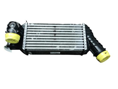 Used Intercooler Intercooler PEUGEOT RCZ 2.0 HDi (163 hp) 25054695 25054695