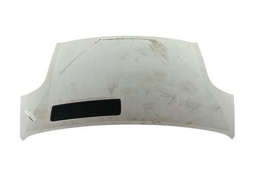 Used Hood RENAULT TRAFIC II Bus (JL) 2.0 dCi 90 (JL00, JL01, JL0H, JL0M, JL0P, JL0S) (90 hp) 27172250