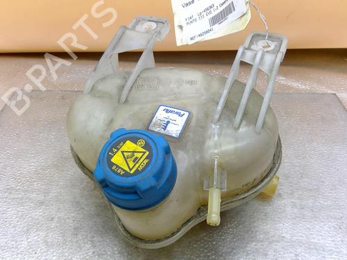 Used Expansion tank FIAT PUNTO EVO (199_) 1.2 (69 hp) 25093321