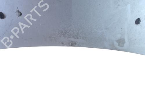 Hood RENAULT CLIO III (BR0/1, CR0/1)  | BP25098247C1 