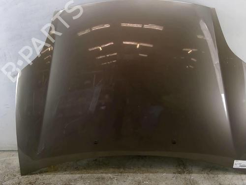 Hood FIAT BRAVO II (198_) 1.9 D Multijet (198AXE1A) | BP25089719C1