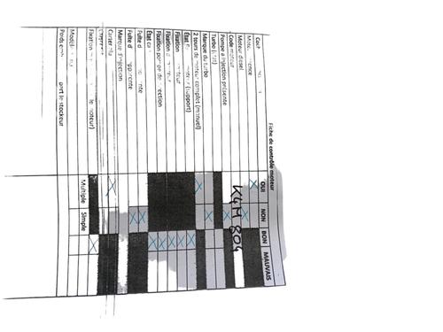 Motor RENAULT CLIO III (BR0/1, CR0/1) 1.6 16V (BR09, BR0T, CR09, CR0T) (88 hp) 29205207