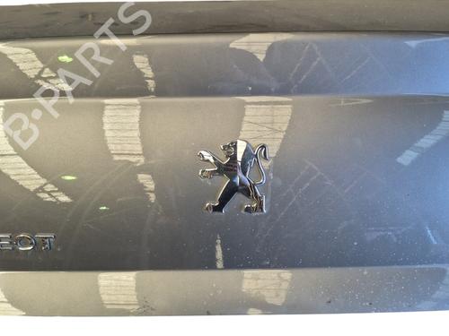 Used Tailgate PEUGEOT 407 (6D_) 1.6 HDi 110 (6D9HZC, 6D9HYC) (109 hp) 26147390