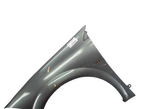 Left front fenders RENAULT MEGANE II (BM0/1_, CM0/1_) 1.4 16V (BM0B, CM0B) | BP25055047C41 