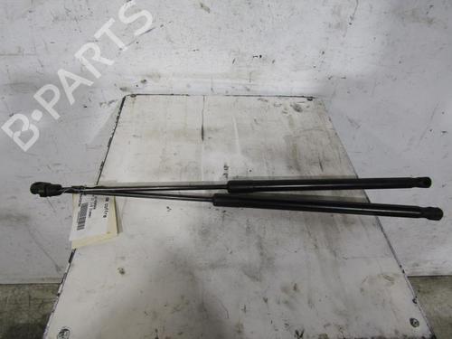 Used Tailgate lift support SKODA OCTAVIA II (1Z3) 1.9 TDI (105 hp) 25113680