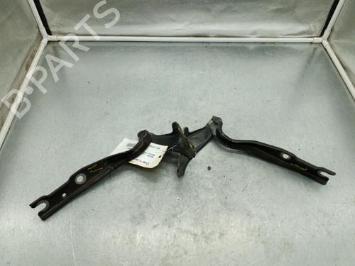 Used Hinge/Door check strap SKODA RAPID (NH3, NK3, NK6) 1.6 TDI (105 hp) 25089067