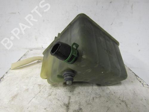Expansion tank RENAULT LAGUNA I (B56_, 556_)  | BP25107006C120 
