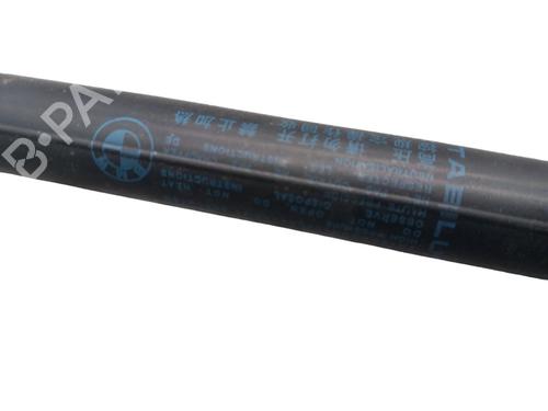 Tailgate lift support BMW 1 (F20) 116 d | BP25058286C138