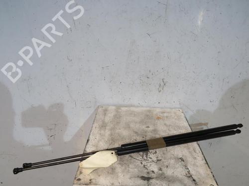 Used Tailgate lift support RENAULT KANGOO / GRAND KANGOO II (KW0/1_) 1.5 dCi 110 (KW06, KW12) (110 hp) 25085860