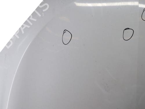 Used Hood RENAULT MEGANE III Coupe (DZ0/1_) 1.5 dCi (DZ09, DZ0D, DZ1F, DZ1G, DZ14, DZ29) (110 hp) 26527207