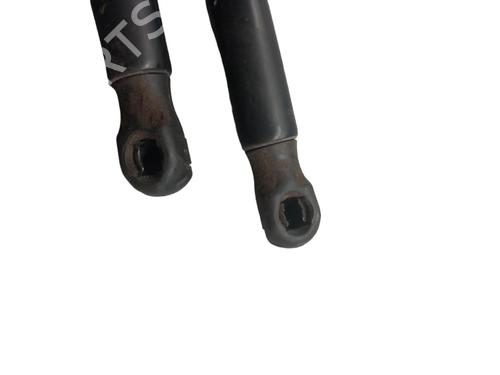 Used Tailgate lift support RENAULT SCÉNIC II (JM0/1_) [2003-2010]  25072789