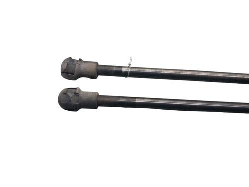 Used Tailgate lift support NISSAN QASHQAI / QASHQAI +2 I (J10, NJ10, JJ10E) 1.5 dCi (106 hp) 25058817
