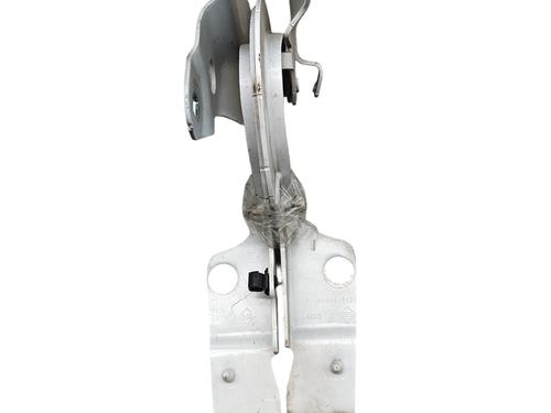 Hinge/Door check strap RENAULT ZOE (BFM_) ZOE | BP25769243C146 - Image 2