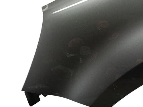 Left front fenders RENAULT MODUS / GRAND MODUS (F/JP0_) 1.6 (JP03, JP0B, JP0U, JP0Y, JP1G) | BP30566156C41 
