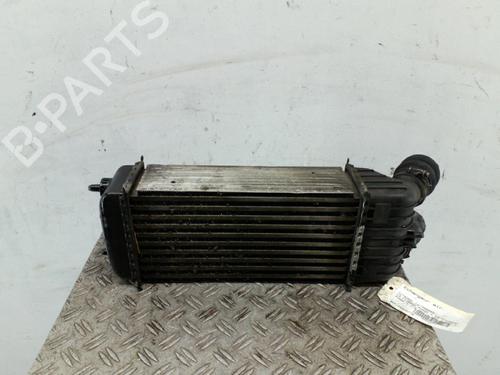 Intercooler CITROËN C3 I (FC_, FN_)  | BP25063132M30 