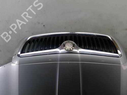 Hood SKODA SUPERB I (3U4) 2.0 TDI | BP25082247C1