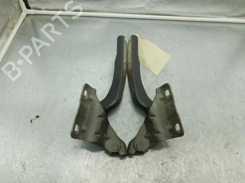 Hinge/Door check strap NISSAN QASHQAI / QASHQAI +2 I (J10, NJ10, JJ10E) 1.5 dCi | BP25104484C146 
