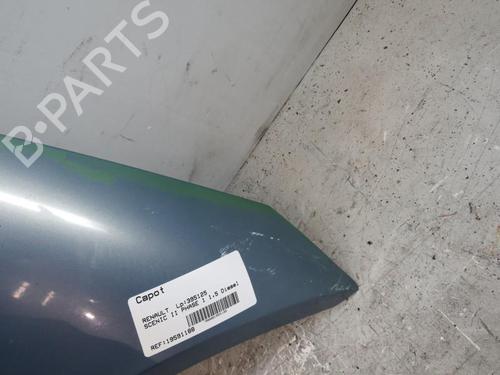 hood-renault-scenic-ii-jm01_-2003-2004-2005-2006-2007-2008-2009-2010-25083986 main image