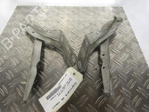 Used Hinge/Door check strap PEUGEOT 307 SW (3H) 1.6 HDI 110 (109 hp) 25113479