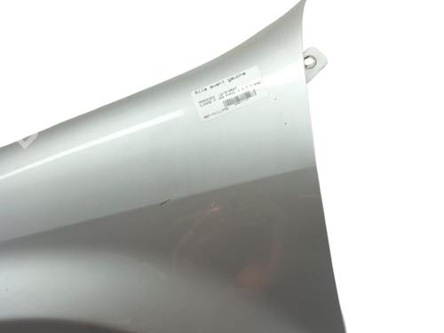 Left front fenders MERCEDES-BENZ M-CLASS (W163) ML 270 CDI (163.113) | BP25102894C41 
