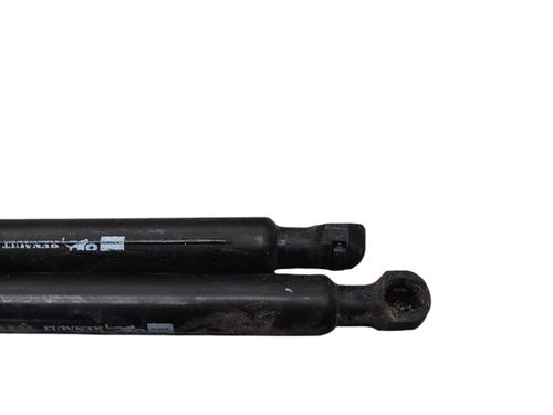 Tailgate lift support RENAULT CLIO IV (BH_) 1.5 dCi 75 | BP25061624C138 