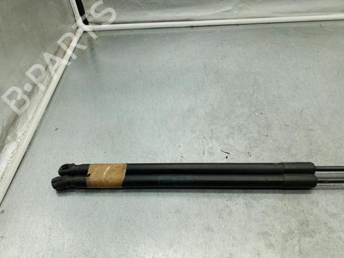 Gassdemper Bakluke OPEL ASTRA H (A04) [2004-2014]  25062883