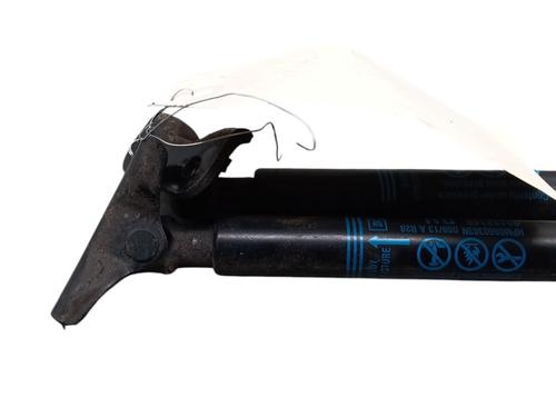 Tailgate lift support CHEVROLET AVEO Hatchback (T300) 1.3 D | BP31188709C138