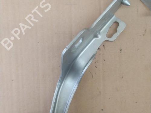 Hinge/Door check strap RENAULT CLIO III (BR0/1, CR0/1) 1.6 16V (BR09, BR0T, CR09, CR0T) | BP25101351C146 
