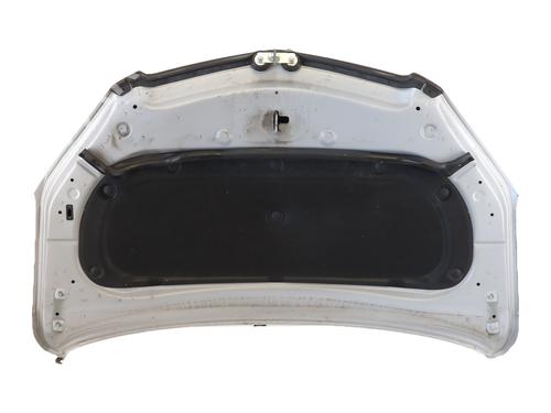 Used Hood Hood 38257984 38257984