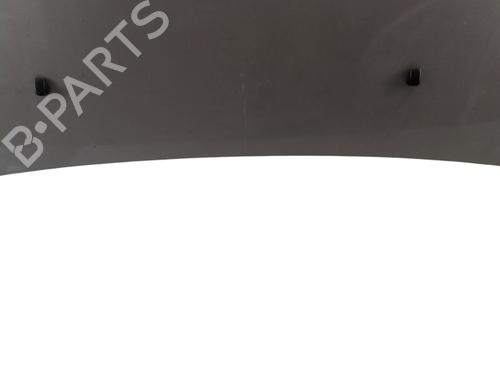 Hood HYUNDAI TUCSON (JM) 2.0 CRDi All-wheel Drive | BP29222134C1 