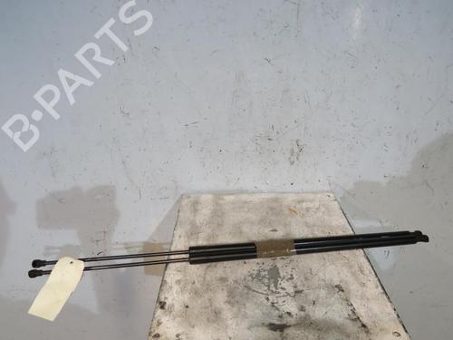 Used Tailgate lift support RENAULT KANGOO / GRAND KANGOO II (KW0/1_) 1.5 dCi 110 (KW06, KW12) (110 hp) 25114319