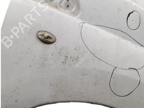 Right front fenders CITROËN JUMPY II Van 1.6 HDi 90 16V | BP31067224C42