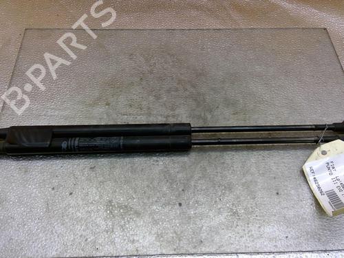Used Tailgate lift support FIAT PUNTO EVO (199_) 1.2 (69 hp) 25093316
