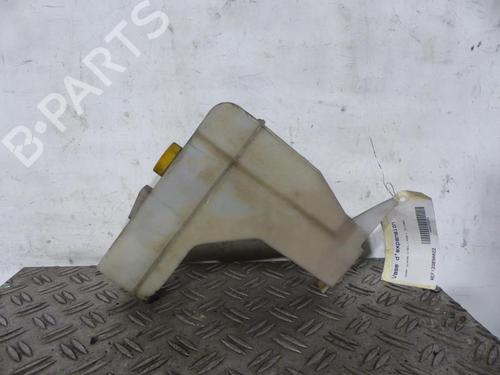 Expansion tank NISSAN X-TRAIL I (T30) 2.2 Di 4x4 | BP25091423C120 