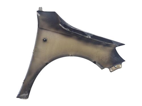 Left front fenders SKODA FABIA II (542) 1.6 TDI | BP29251863C41 