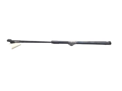 Used Tailgate lift support FORD C-MAX II (DXA/CB7, DXA/CEU) 1.6 TDCi (115 hp) 29429098