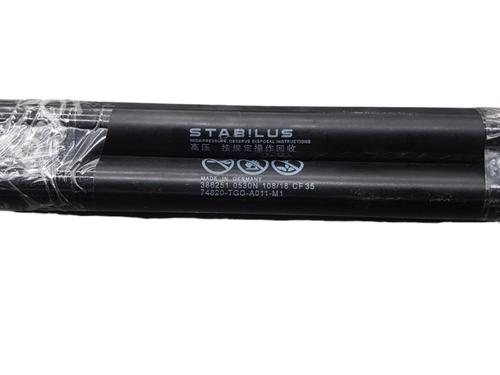 Used Tailgate lift support HONDA CIVIC X Hatchback (FC_, FK_) [2016-2025]  25073060