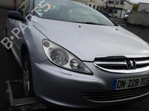 Tailgate PEUGEOT 307 CC (3B) 2.0 16V | BP25093451C6 