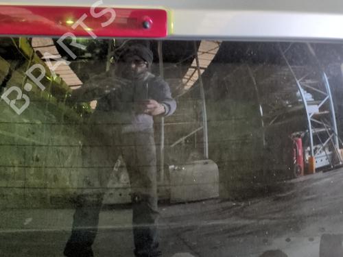 Tailgate RENAULT TWINGO II (CN0_) 1.2 16V (CN04, CN0B) | BP31629155C6 