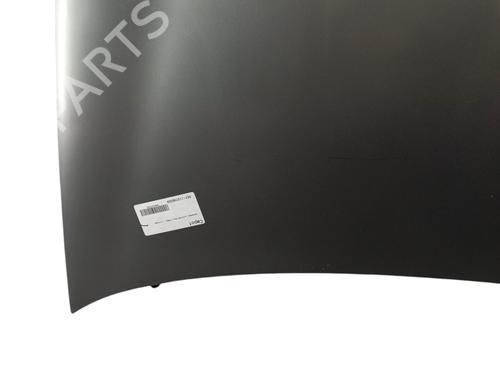 Used Hood VW POLO IV (9N_, 9A_) 1.4 TDI (75 hp) 30593597