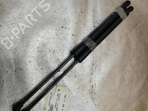 Tailgate lift support PEUGEOT 208 I (CA_, CC_) 1.5 BlueHDI 100 | BP25089628C138
