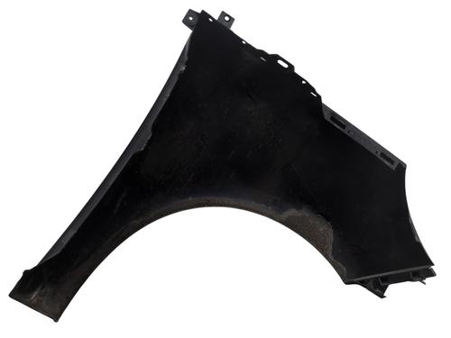 Left front fenders RENAULT SCÉNIC III (JZ0/1_) 1.6 dCi (JZ00, JZ12) | BP30813794C41 