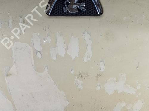 Hood PEUGEOT BIPPER (AA_) 1.4 HDi | BP25098815C1 