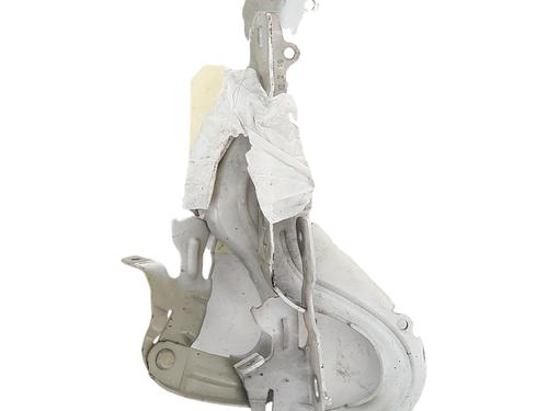 hingedoor-check-strap-citroen-c3-iii-sx-2016-33738981 main image