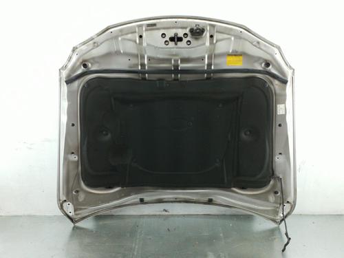 Hood LEXUS IS II (_E2_) 250 (GSE20) | BP25104945C1 