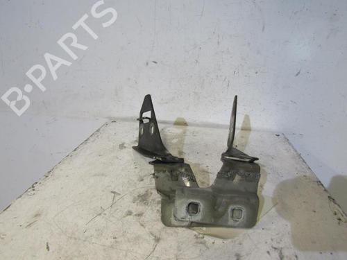 Hinge/Door check strap RENAULT MEGANE II Estate (KM0/1_) 1.5 dCi (KM0F, KM0T, KM2B) | BP25079555C146 