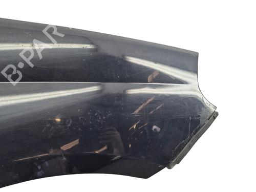 Right front fenders FIAT PUNTO (199_)  | BP25075375C42 